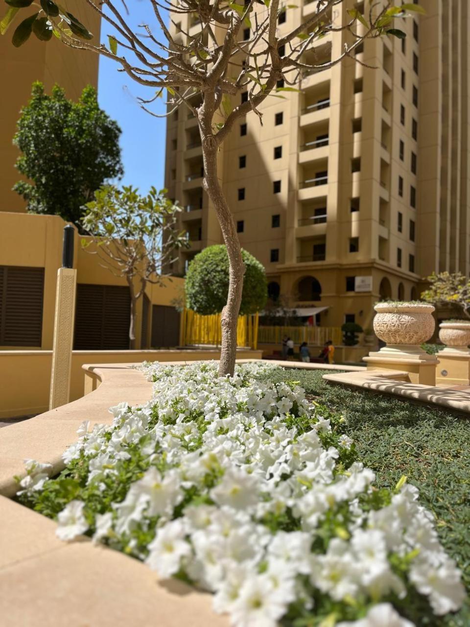 Pirates Bay Hostel Dubai Exterior photo